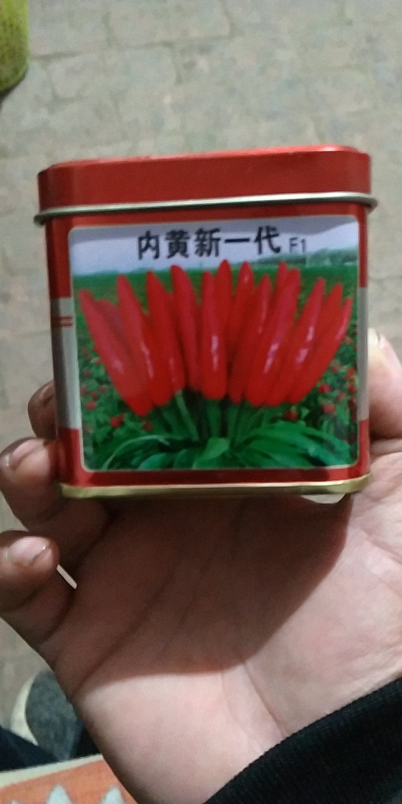 内黄新一代朝天椒种植基地货源充足品质保证口感纯正