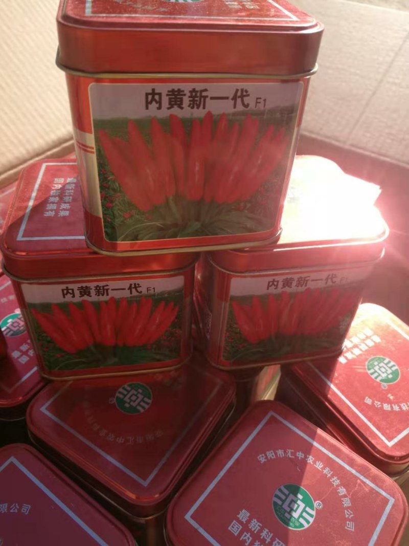 内黄新一代朝天椒种植基地货源充足品质保证口感纯正