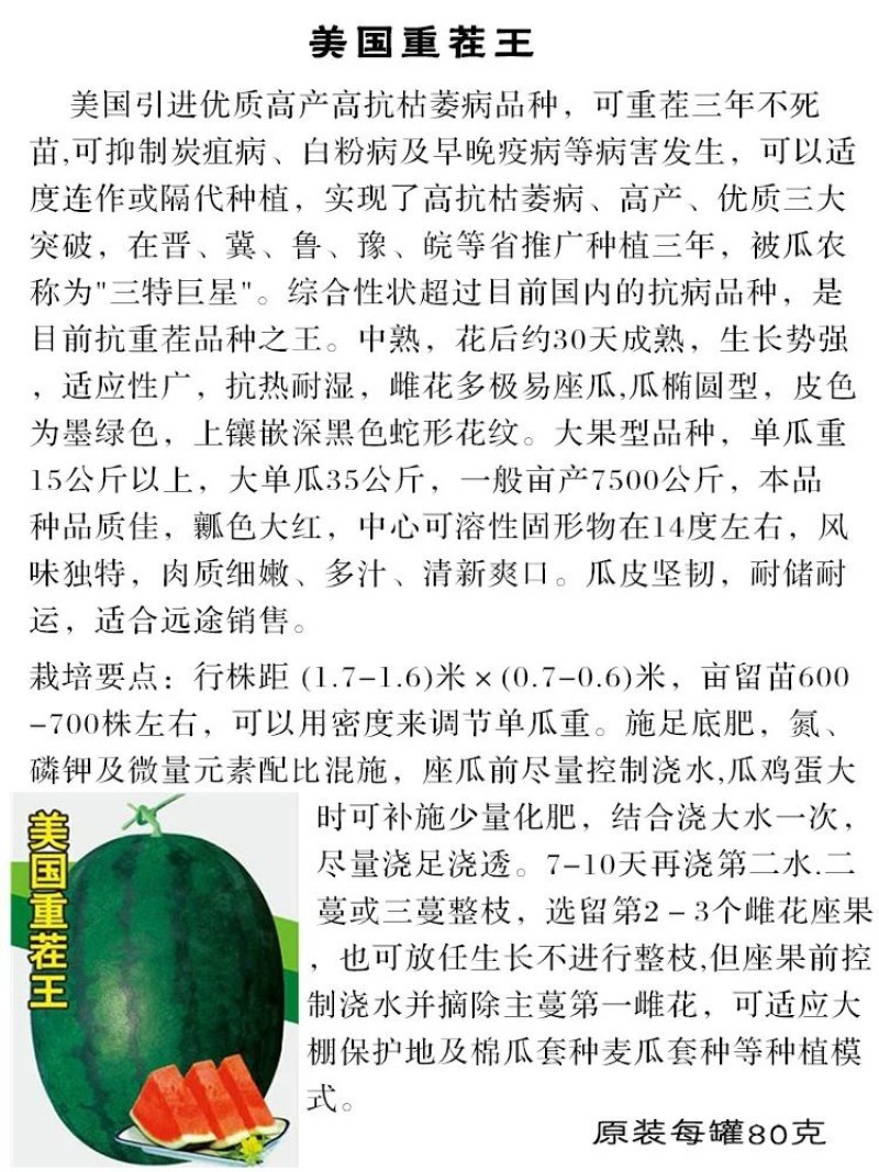 【美国重茬王】高产抗病大西瓜种子巨型懒汉免整枝墨绿皮高抗