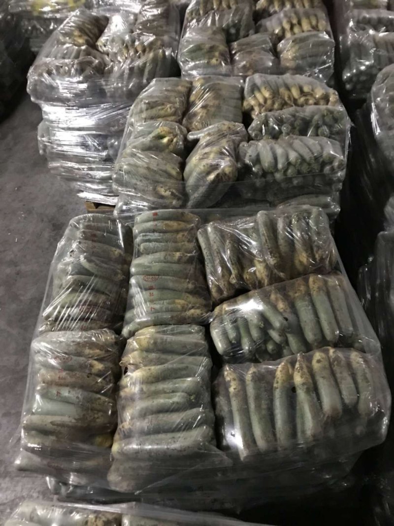 紫美冰激凌，水果萝卜，凤梨萝卜新鲜上市，低价供应！