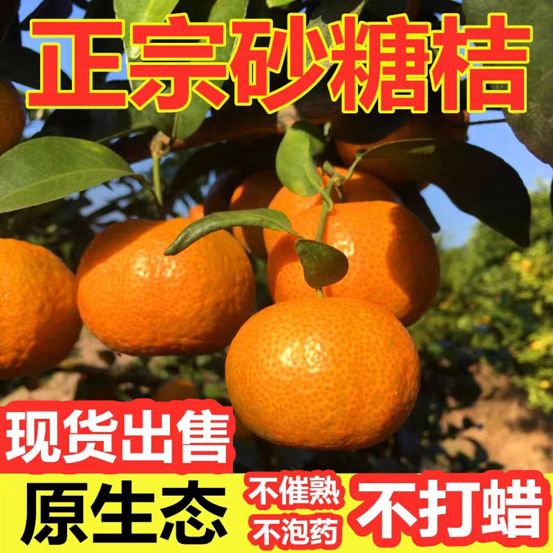 【聚便宜】广西正宗砂糖橘新鲜包邮，支持一件代发