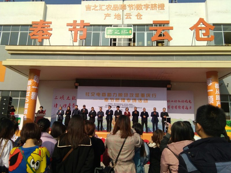 奉节脐橙定单代办合加工一条龙
