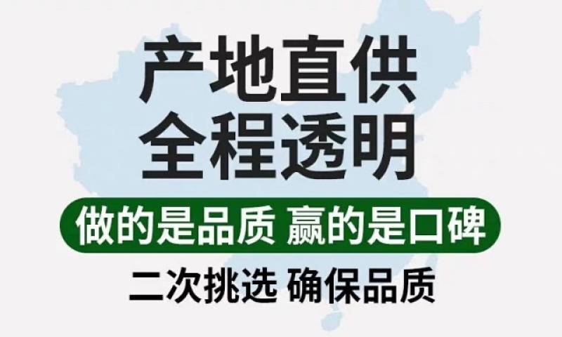 香水小菠萝云南现摘原产地直供支持一件代发