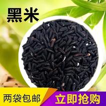 陕西汉中秦岭农家自产自种黑大米新米黑糙米黑香米黑米杂