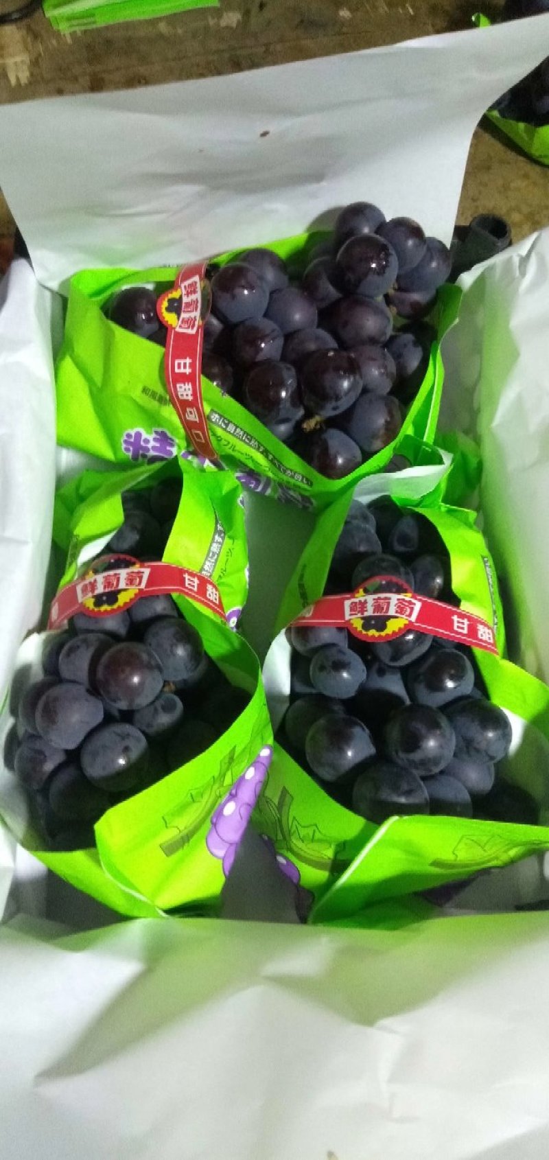 供应辽宁凌海储存各种规格巨峰葡萄