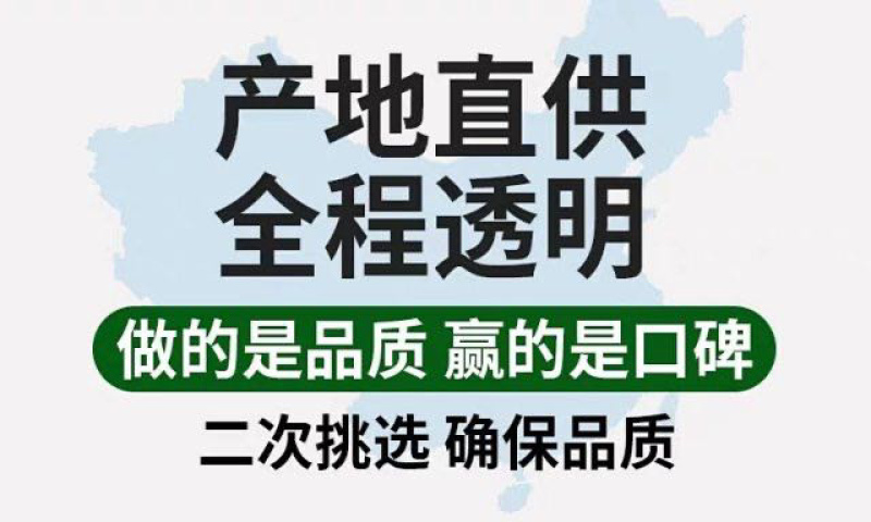 春见耙耙柑顺丰京东包邮四川原产地树果现摘支持一件代发