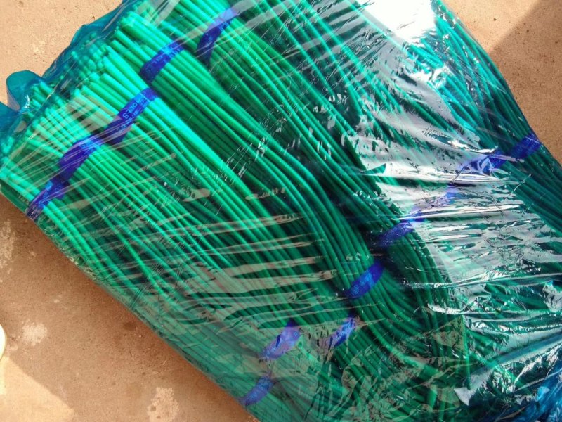 金乡红毛蒜薹50~60厘米冷库蒜薹货源充足