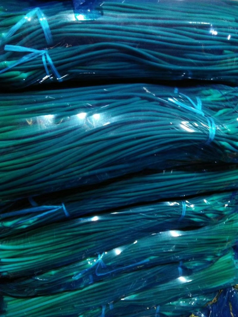 金乡红毛蒜薹50~60厘米冷库蒜薹货源充足