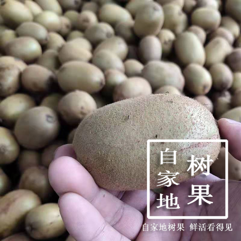 超甜徐香绿心猕猴桃陕西眉县原产地直供