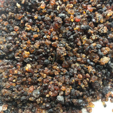 大量通货桃胶急需出手