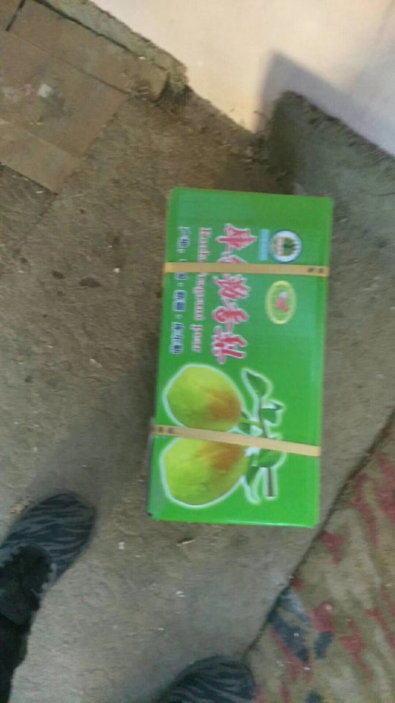 优质现货红香酥梨大量上市，大小都有，各种质量