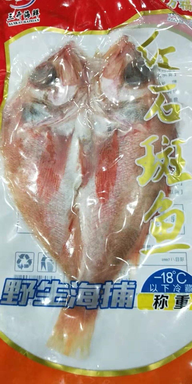 红石斑鱼速冻调制生制红石斑鱼