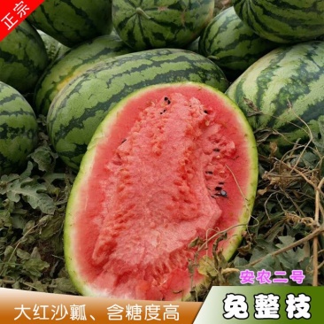 西瓜种子安农二号原新优26号中熟大果双红沙瓤翠绿花皮长椭