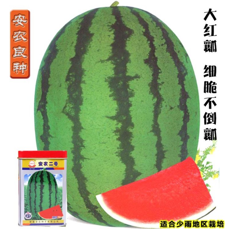 西瓜种子安农二号原新优26号中熟大果双红沙瓤翠绿花皮长椭