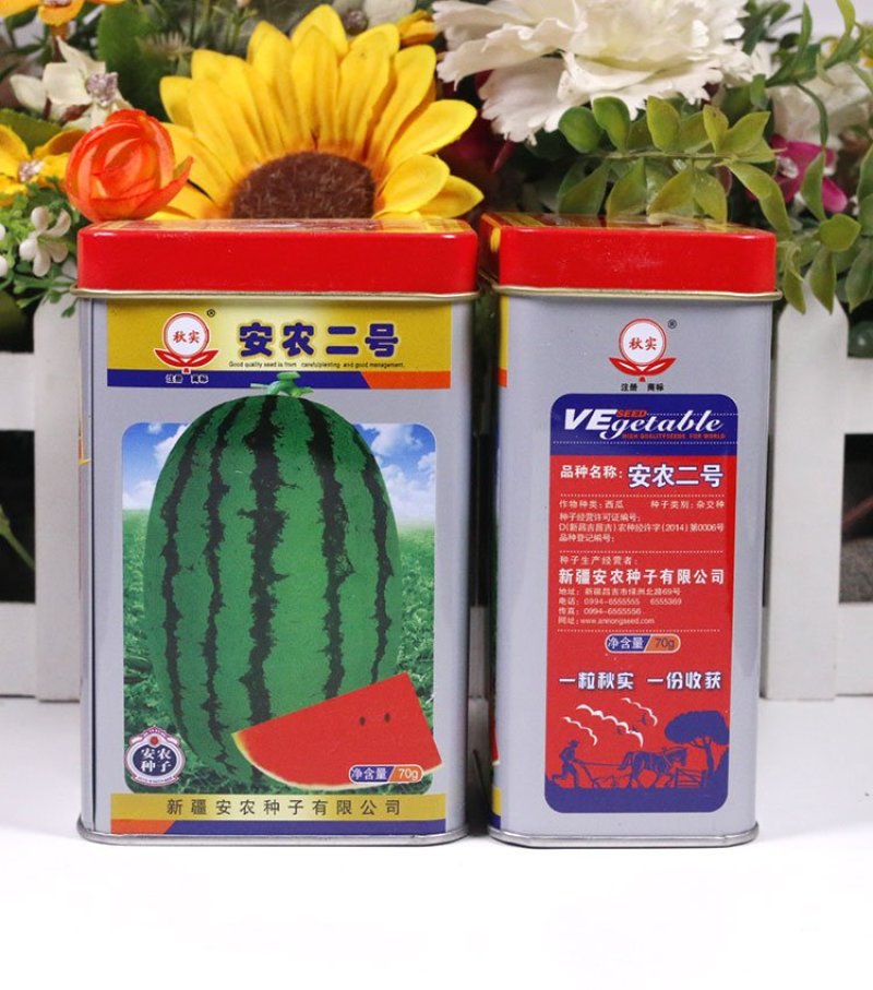 西瓜种子安农二号原新优26号中熟大果双红沙瓤翠绿花皮长椭