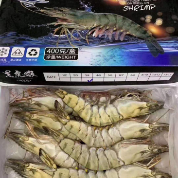 全规格野生黑虎虾大量批发一首货源保证正品