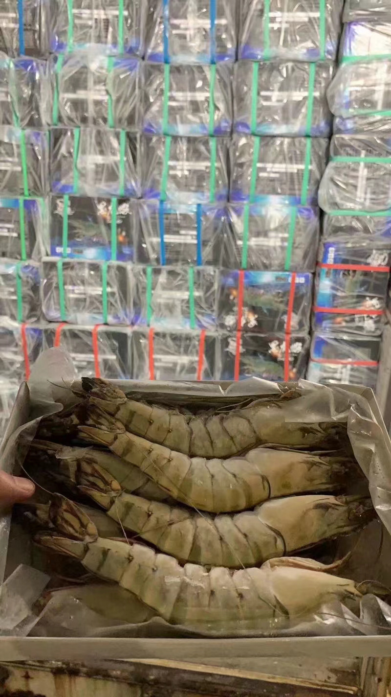 全规格野生黑虎虾大量批发一首货源保证正品