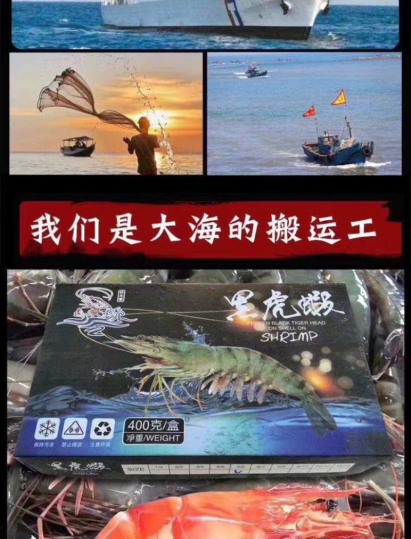 全规格野生黑虎虾大量批发一首货源保证正品