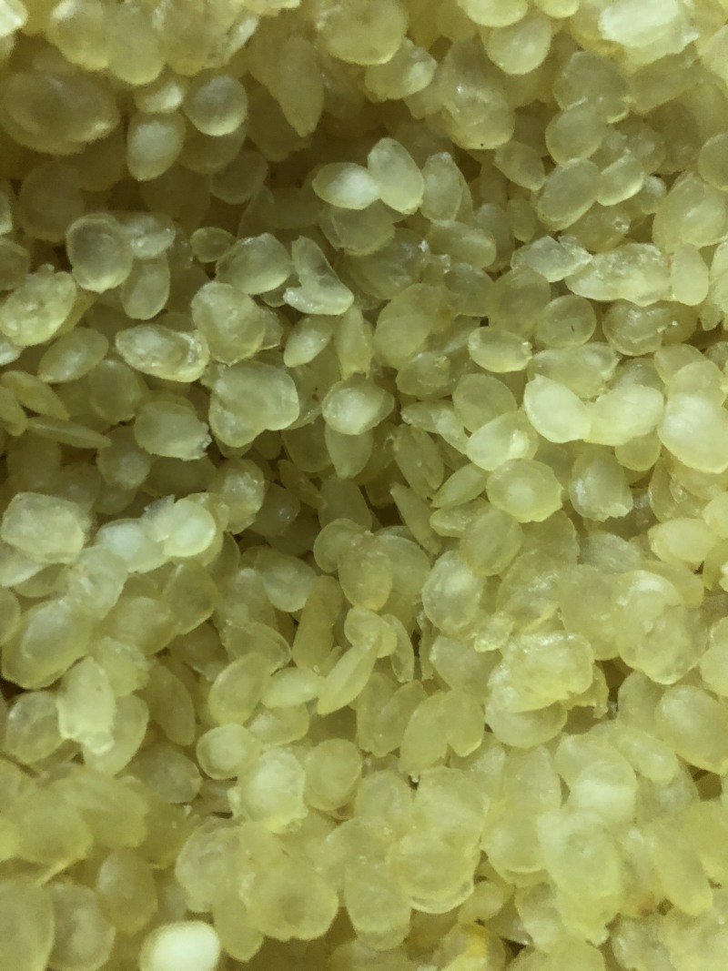 无硫无糖中双荚皂角米（雪莲子）