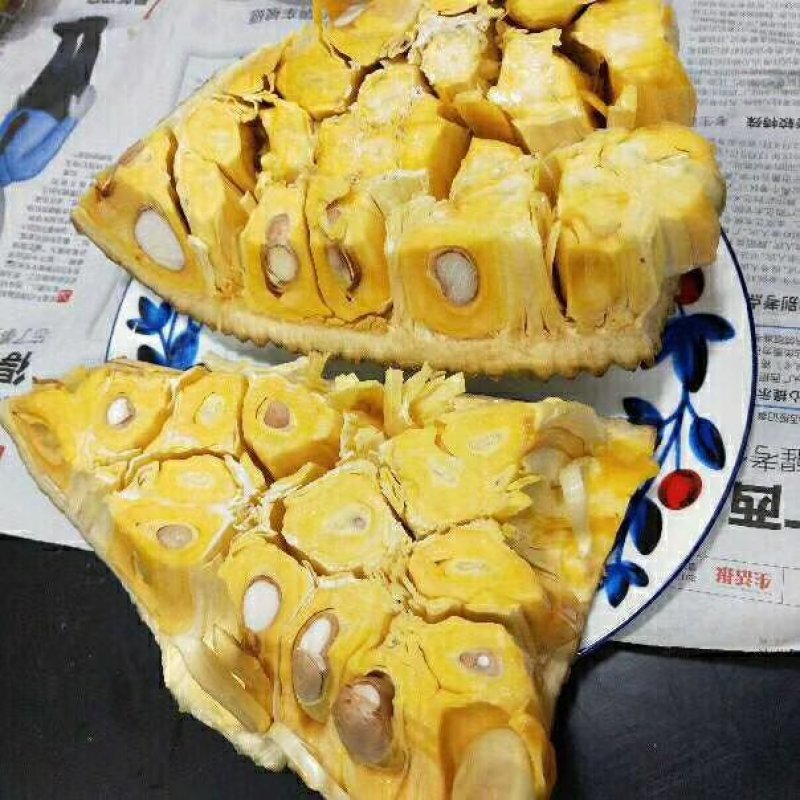 海南黄肉菠萝蜜一件代发，马来一号，电商微商，此为代工价格