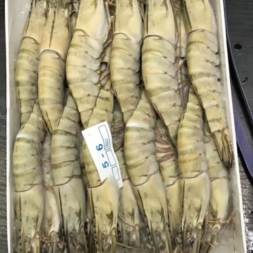 草虾