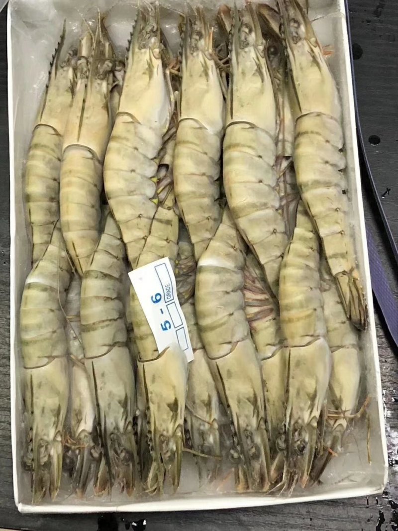 草虾