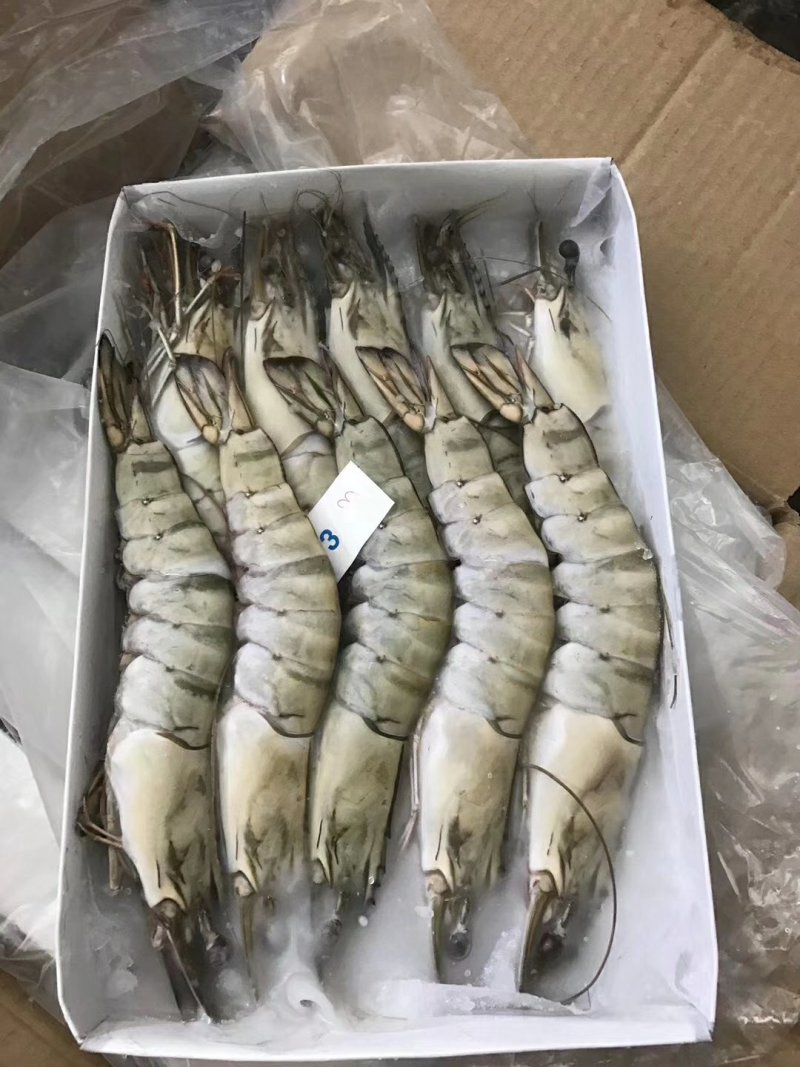 草虾