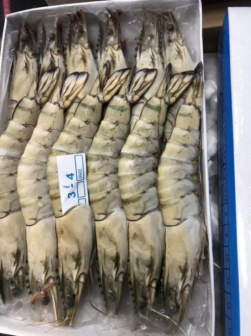 草虾