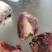 现杀排酸冷鲜马肉厂家直供产品，养殖屠宰一体，保证新鲜