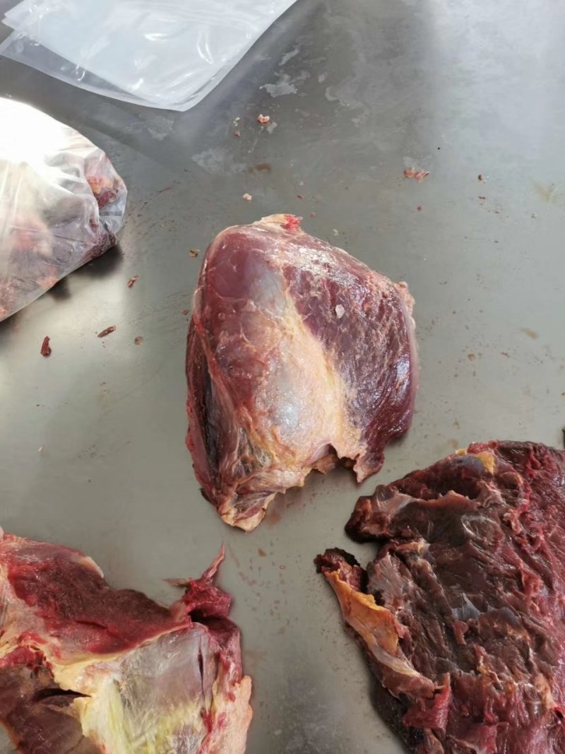 现杀排酸冷鲜马肉厂家直供产品，养殖屠宰一体，保证新鲜