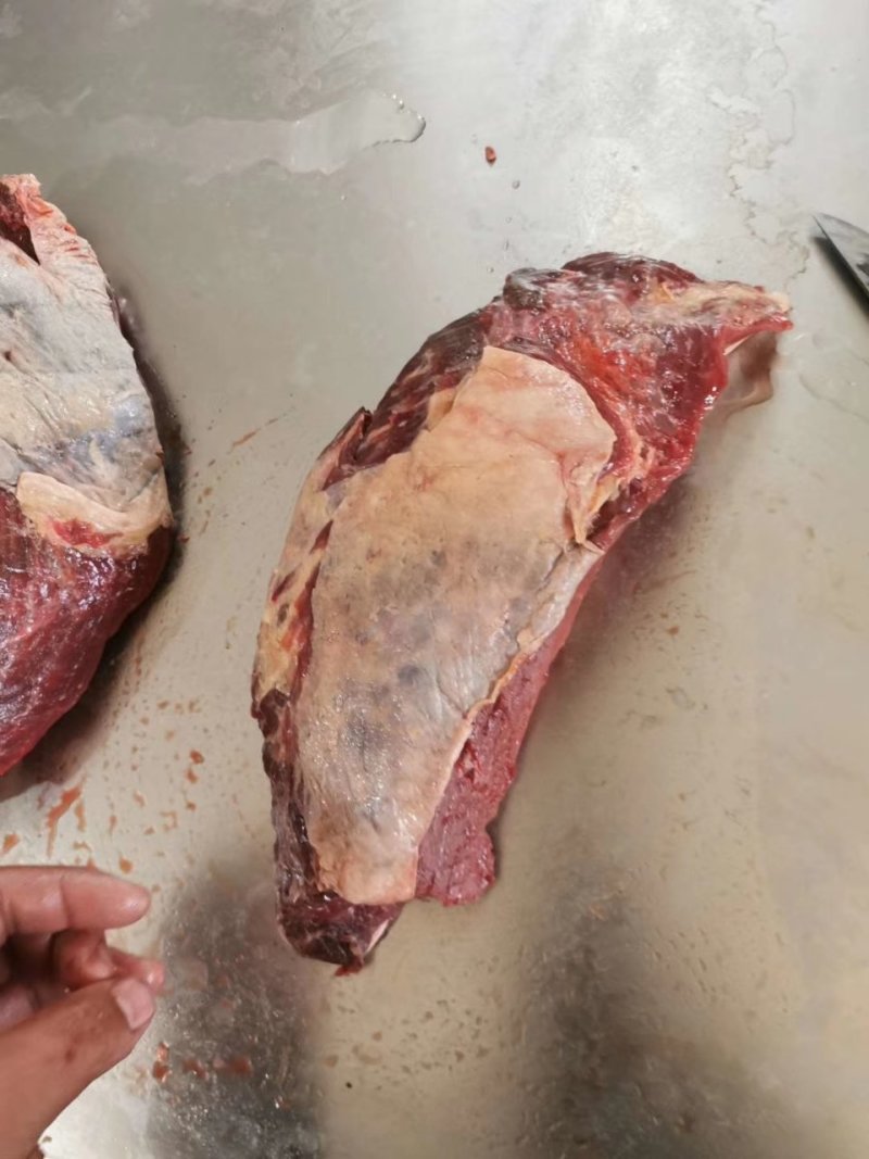 现杀排酸冷鲜马肉厂家直供产品，养殖屠宰一体，保证新鲜