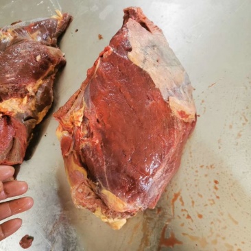 现杀排酸冷鲜马肉厂家直供产品，养殖屠宰一体，保证新鲜