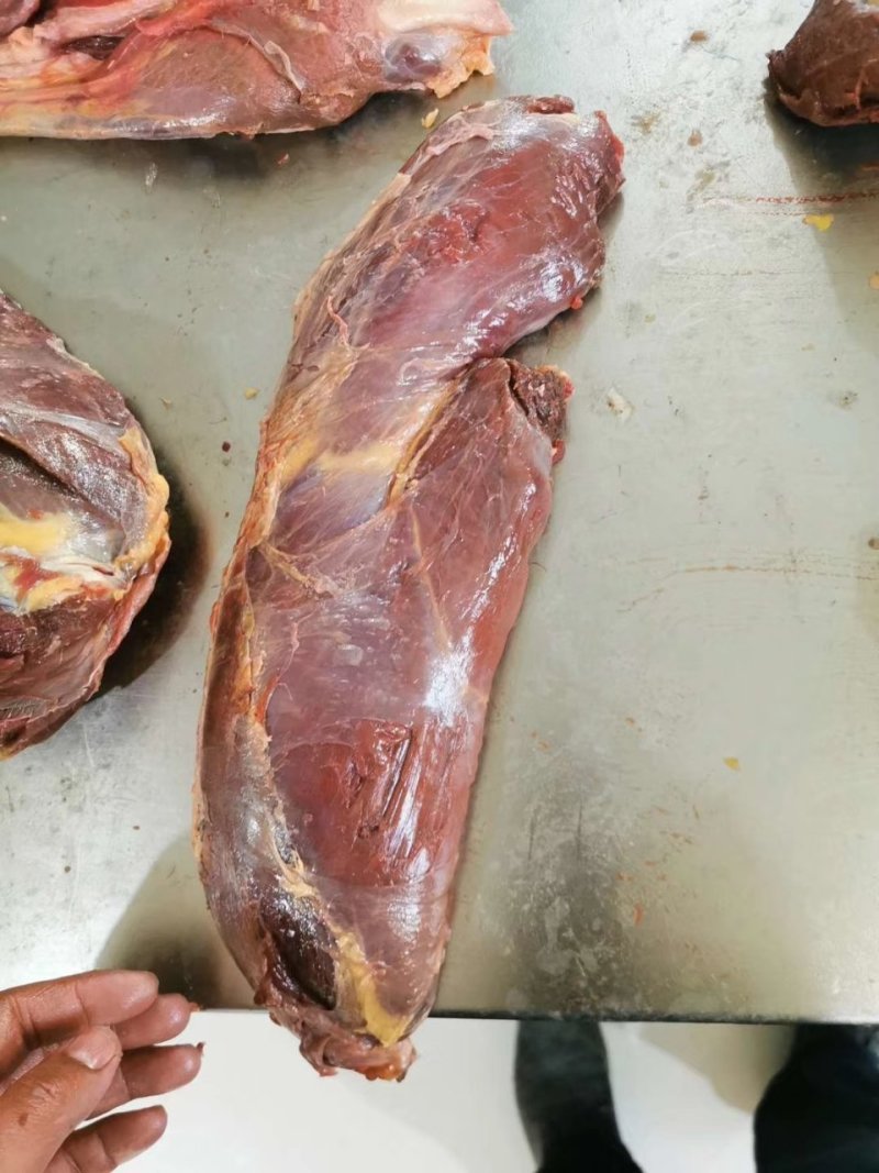 现杀排酸冷鲜马肉厂家直供产品，养殖屠宰一体，保证新鲜
