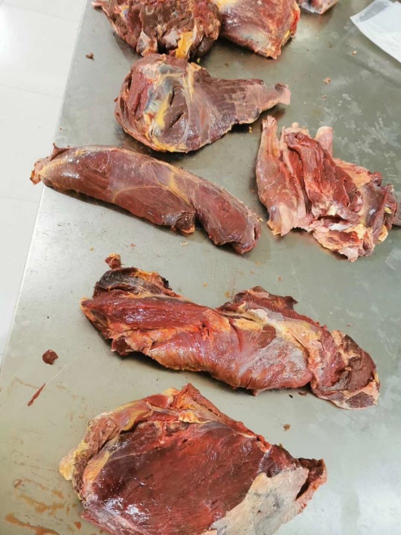 现杀排酸冷鲜马肉厂家直供产品，养殖屠宰一体，保证新鲜
