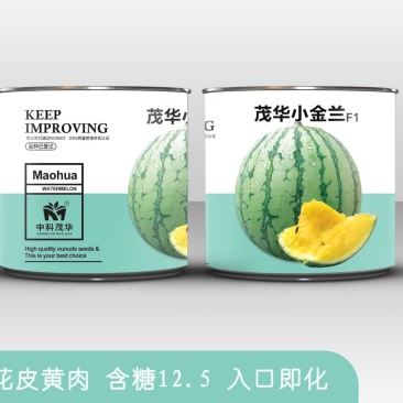 茂华小金兰礼品西瓜种子，绿皮黄瓤，籽少汁多，糖度高