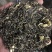 雪花王广西横州市茉莉飘雪茉莉花茶浓香型特级花茶