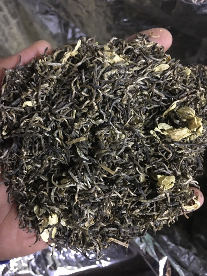 雪花王广西横州市茉莉飘雪茉莉花茶浓香型特级花茶