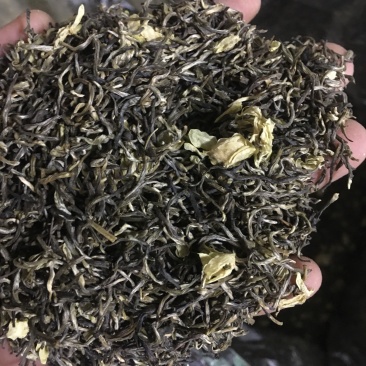 雪花王广西横州市茉莉飘雪茉莉花茶浓香型特级花茶