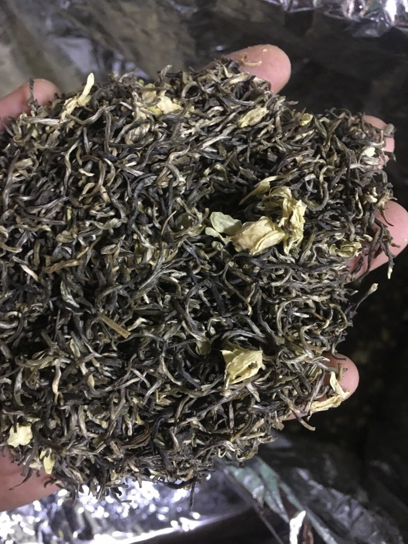 雪花王广西横州市茉莉飘雪茉莉花茶浓香型特级花茶