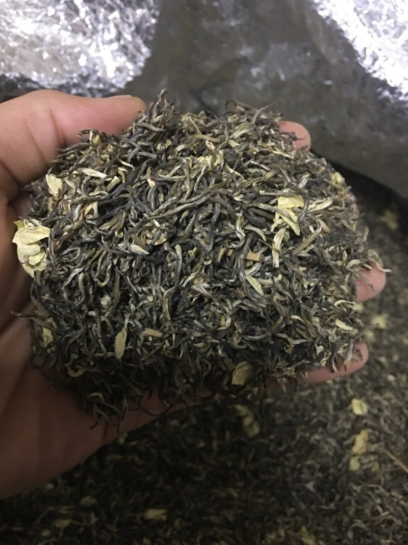 雪花王广西横州市茉莉飘雪茉莉花茶浓香型特级花茶