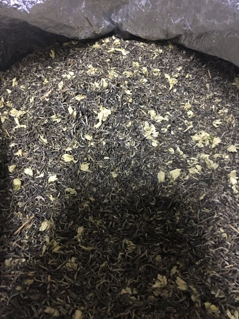 雪花王广西横州市茉莉飘雪茉莉花茶浓香型特级花茶