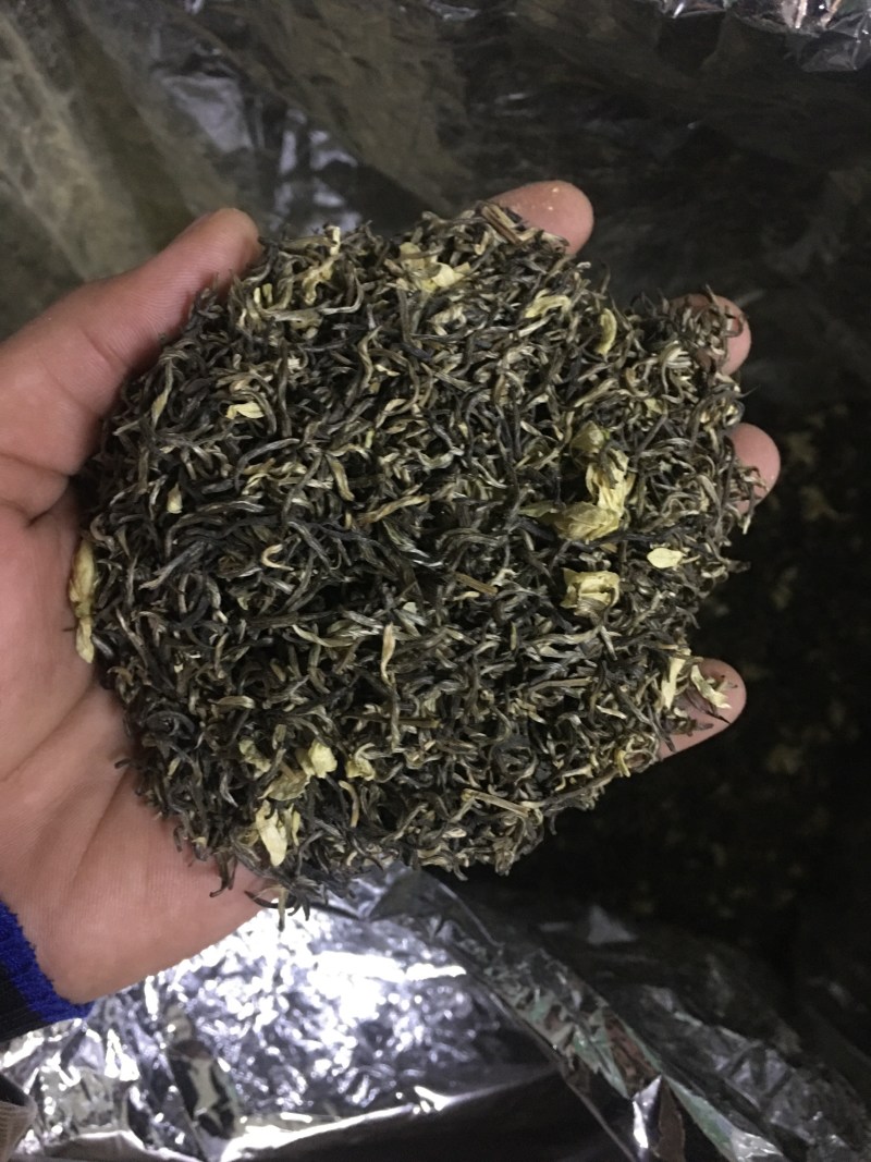 雪花王广西横州市茉莉飘雪茉莉花茶浓香型特级花茶