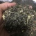 雪花王广西横州市茉莉飘雪茉莉花茶浓香型特级花茶