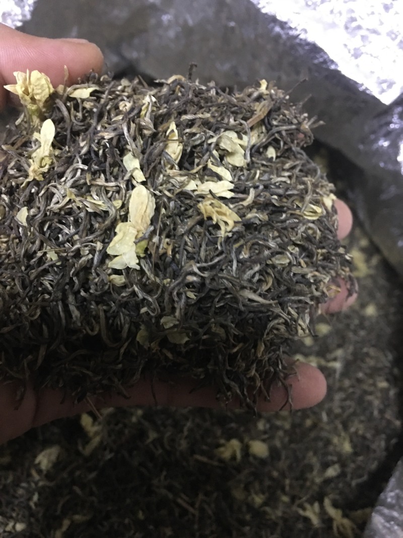 雪花王广西横州市茉莉飘雪茉莉花茶浓香型特级花茶