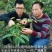 福娜公主甜蜜单细核品种与科学家联手签约收购