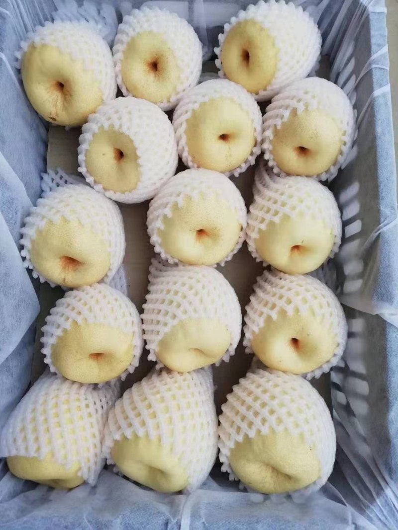 梨
