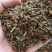 紫丁香种子耐寒树种子新采种子林木种子观花植物