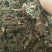凤尾草【包邮】三斤起发货可批量可零售量大从优
