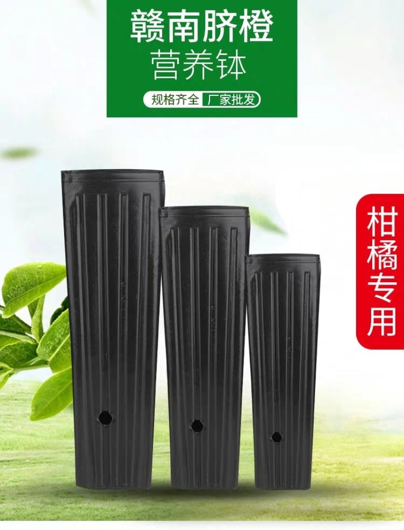 【高品质营养杯】，柑橘苗杯，装土神器，厂家直消，价格优惠