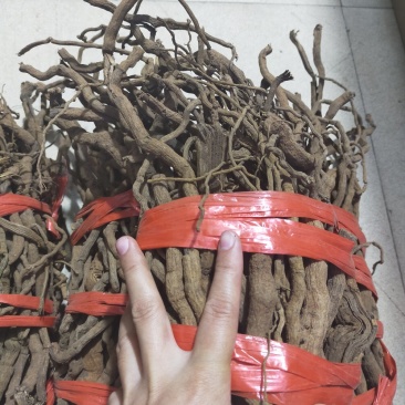海南野生胡椒根，白胡椒。